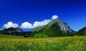 Bregenzerwald ist die Bezeichnung für eine Region im österreichischen Bundesland Vorarlberg. Diese umfasst im Wesentlichen das Einzugsgebiet der Bregenzer Ach südöstlich von Bregenz, in der Nähe des Bodensees, bis an den Hochtannbergpass.